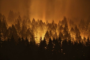 forest fire