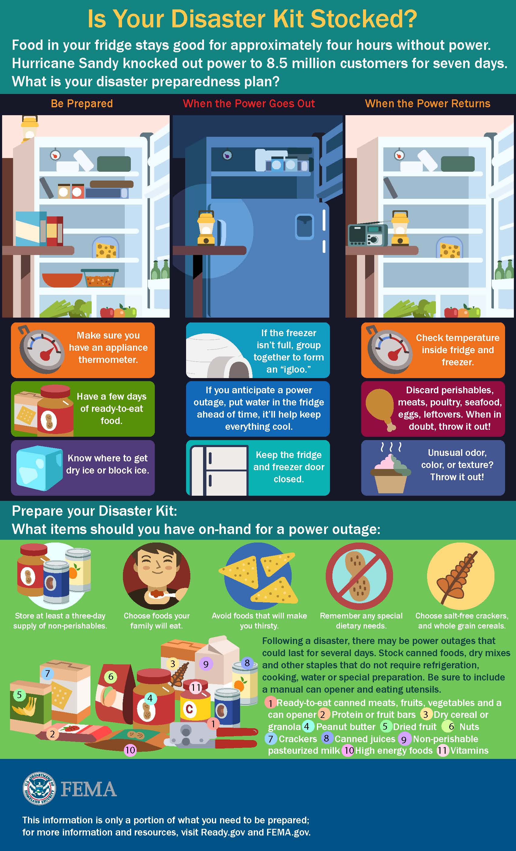 Disaster Kit Infographic