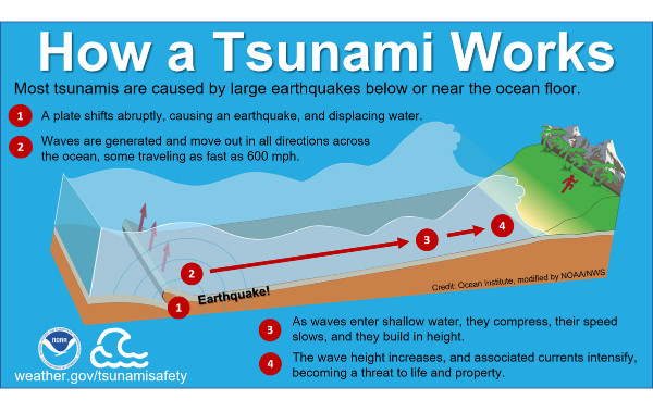 tsunami works 600